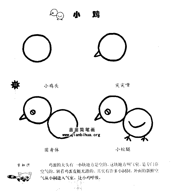 小鸡简笔画怎么画图解教程